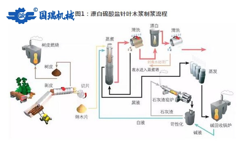 國瑞機械：紙漿的生產流程和應用